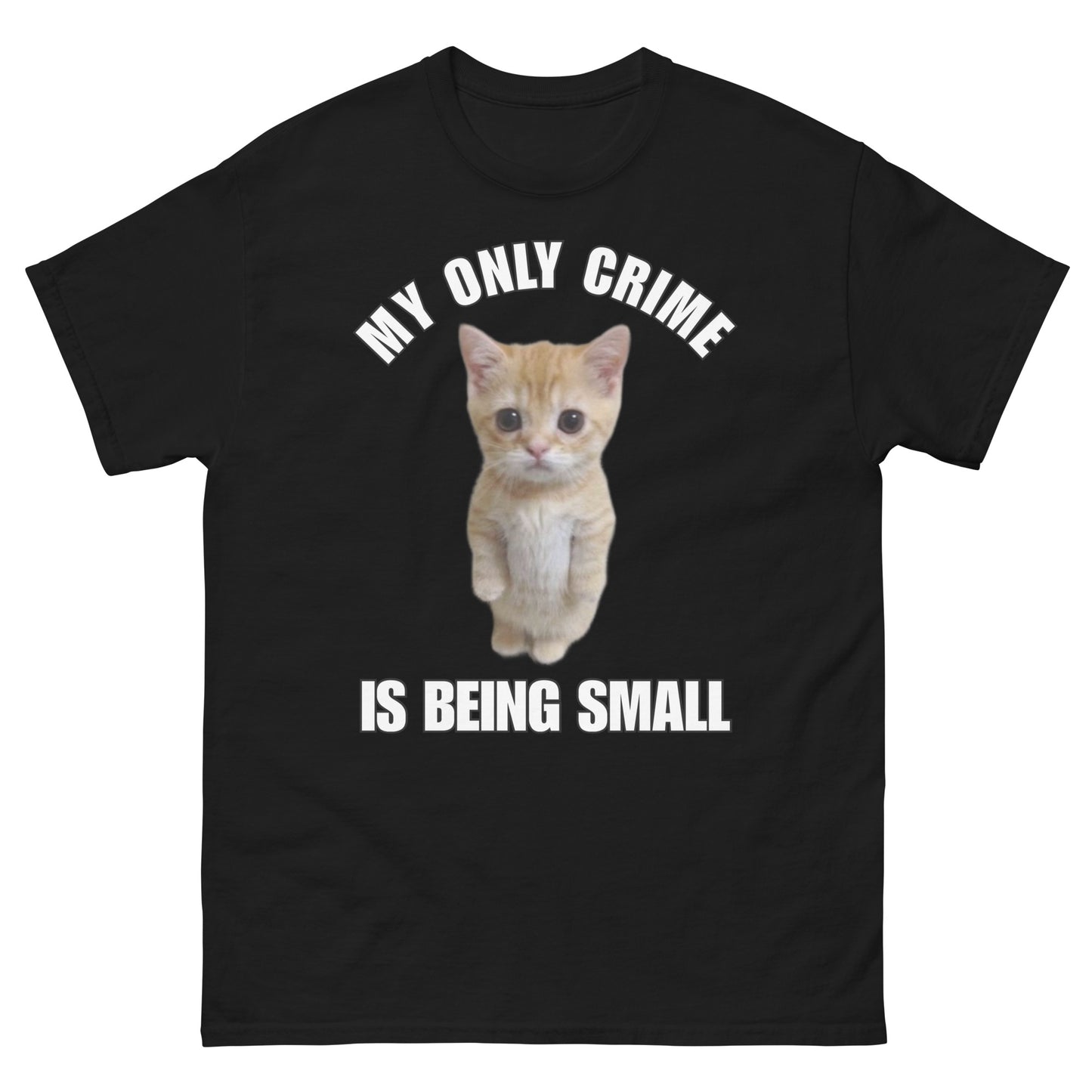 My only crime is being small