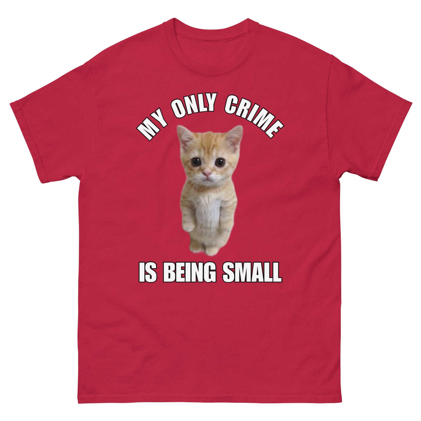 My only crime is being small