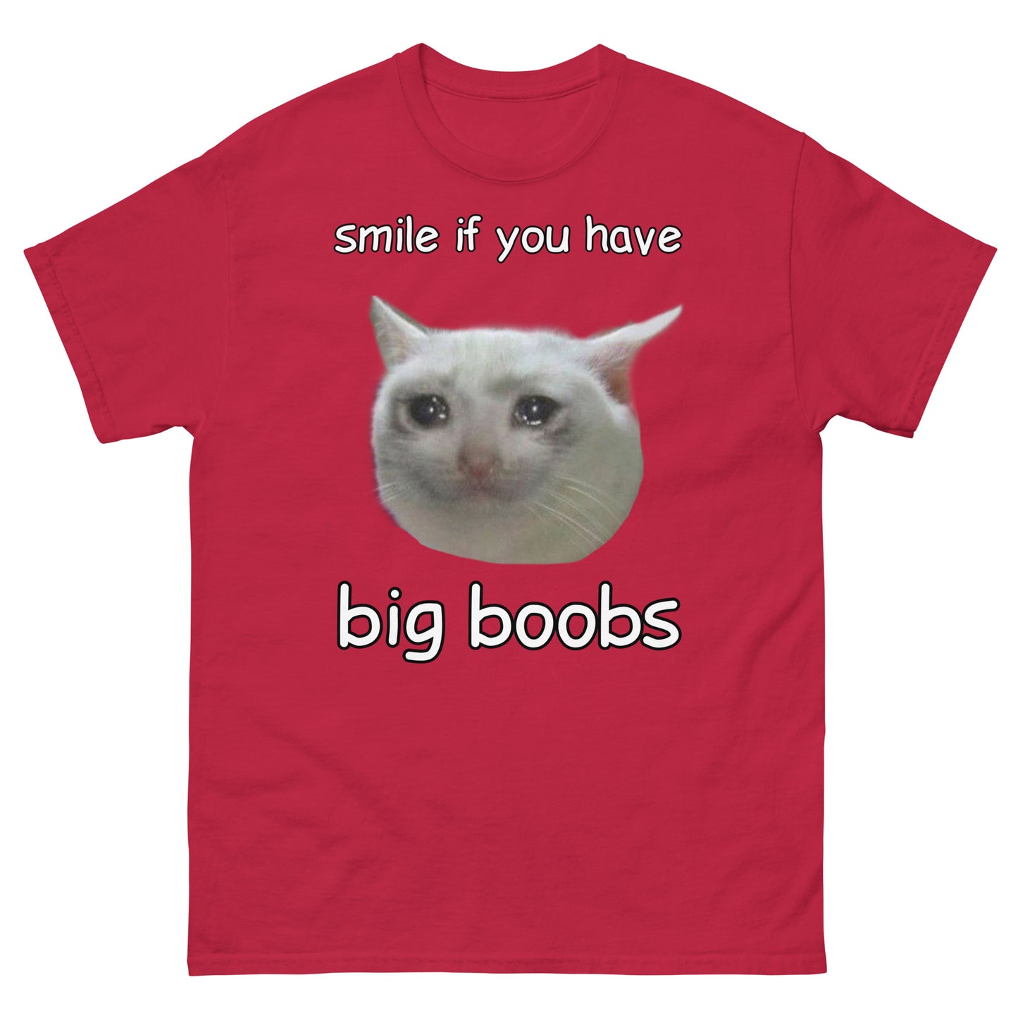 Smile if you have big boobs Cringey Tee