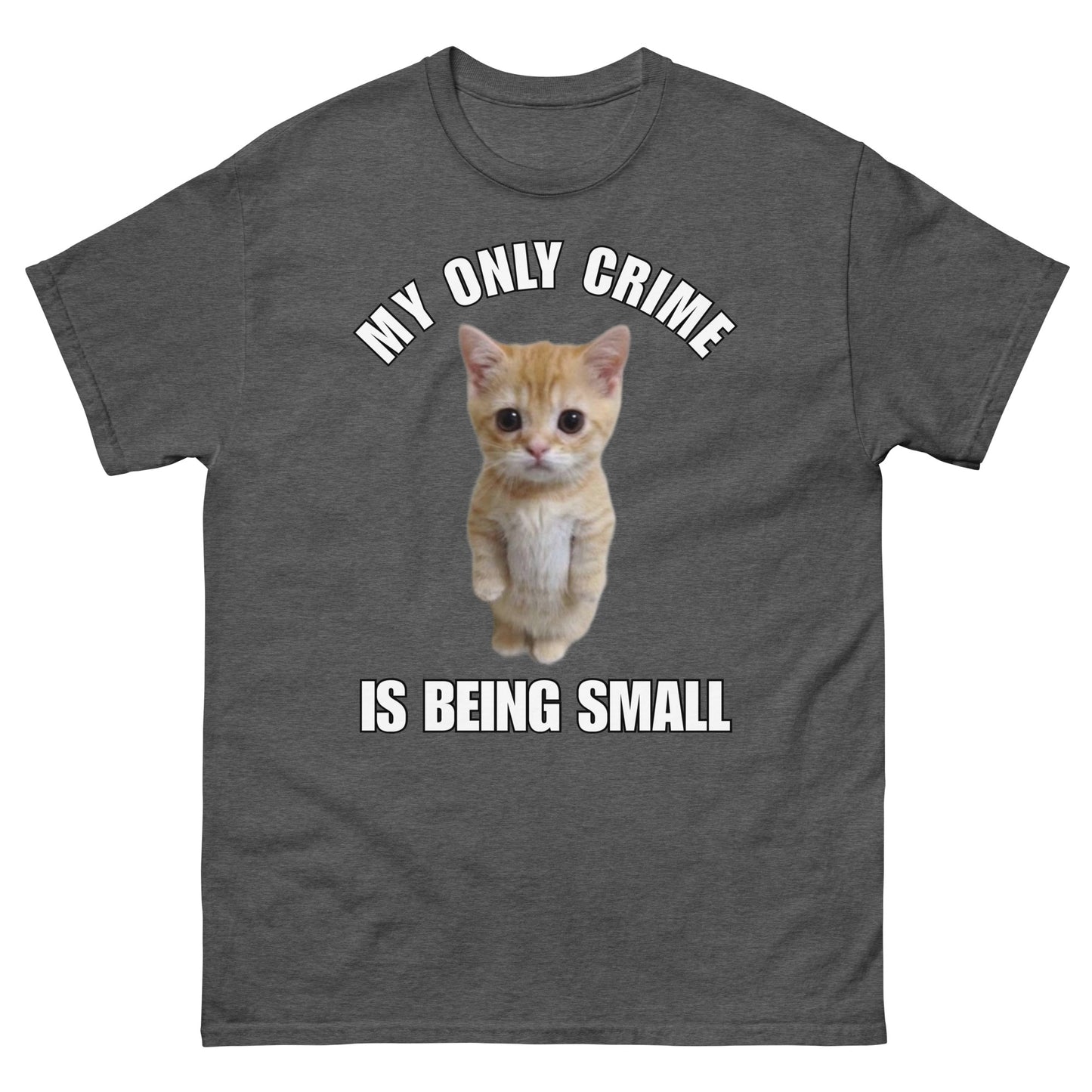 My only crime is being small