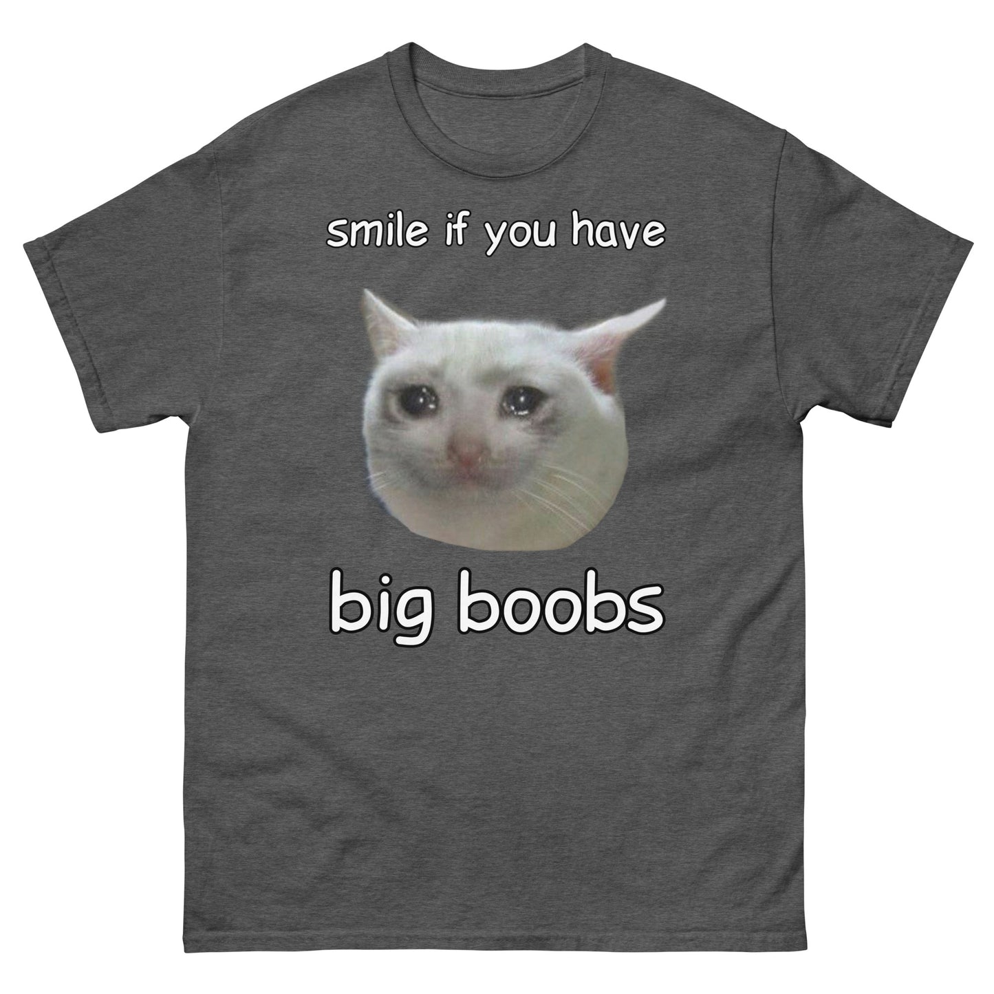Smile if you have big boobs Cringey Tee