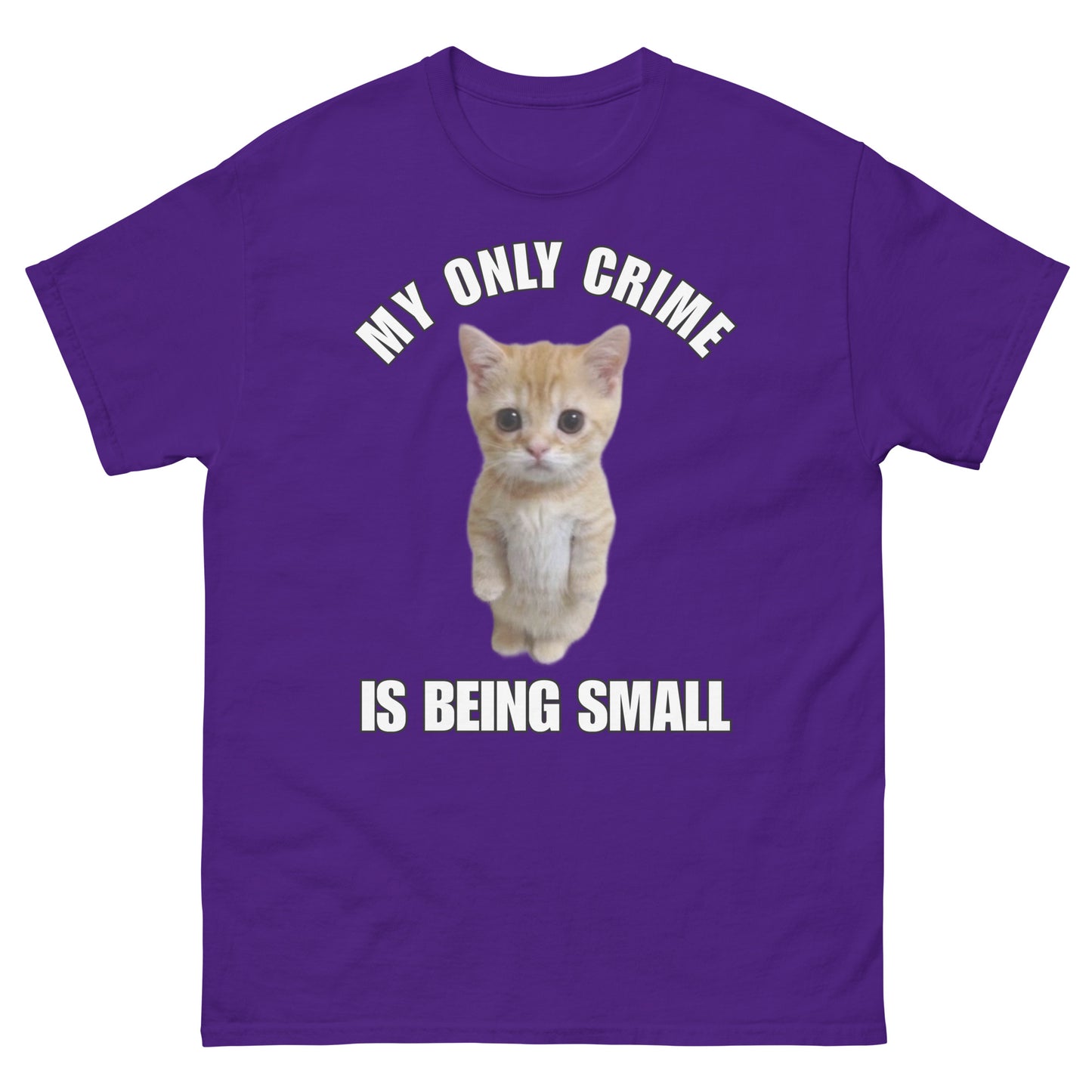 My only crime is being small