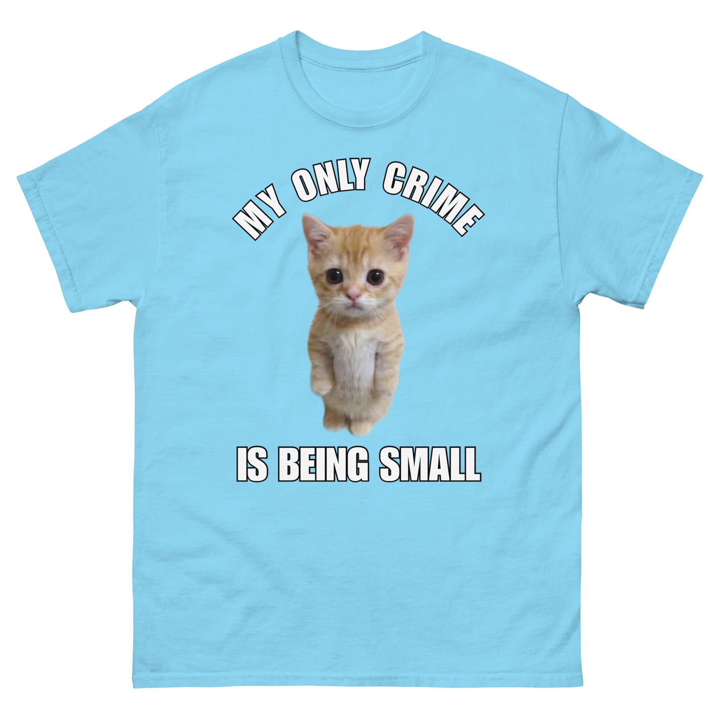 My only crime is being small