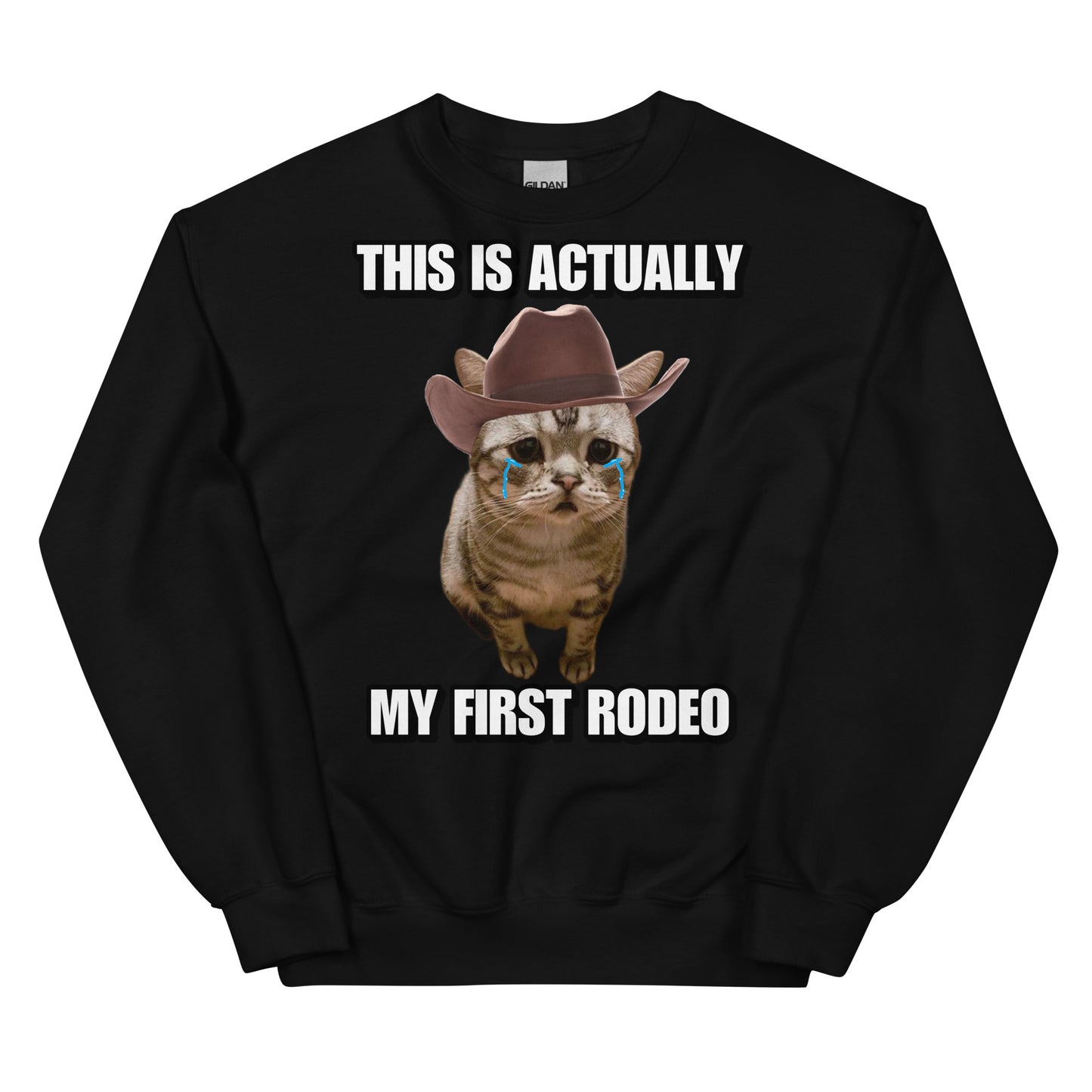 Actually this is my First Rodeo Sweatshirt