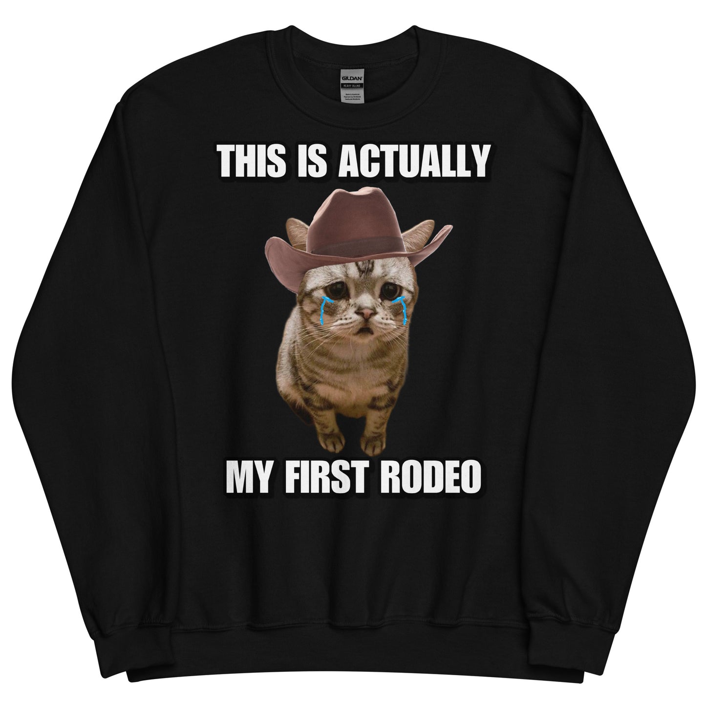 Actually this is my First Rodeo Sweatshirt