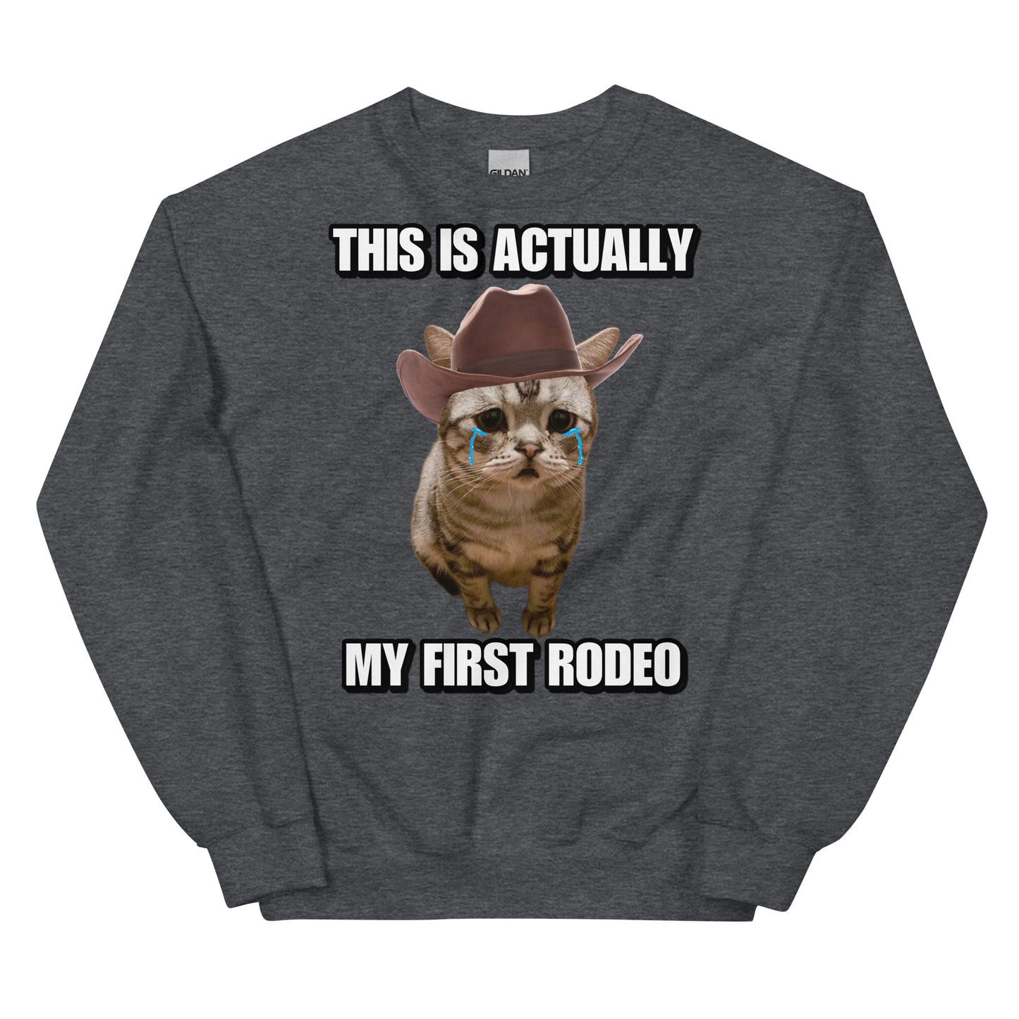 Actually this is my First Rodeo Sweatshirt
