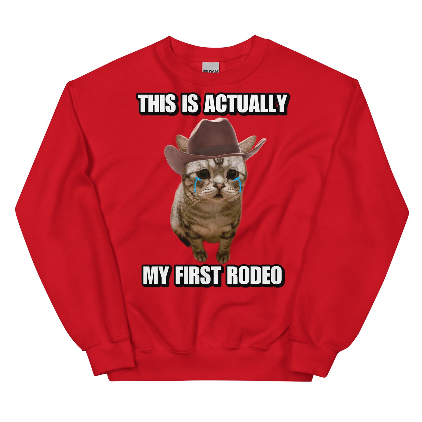 Actually this is my First Rodeo Sweatshirt