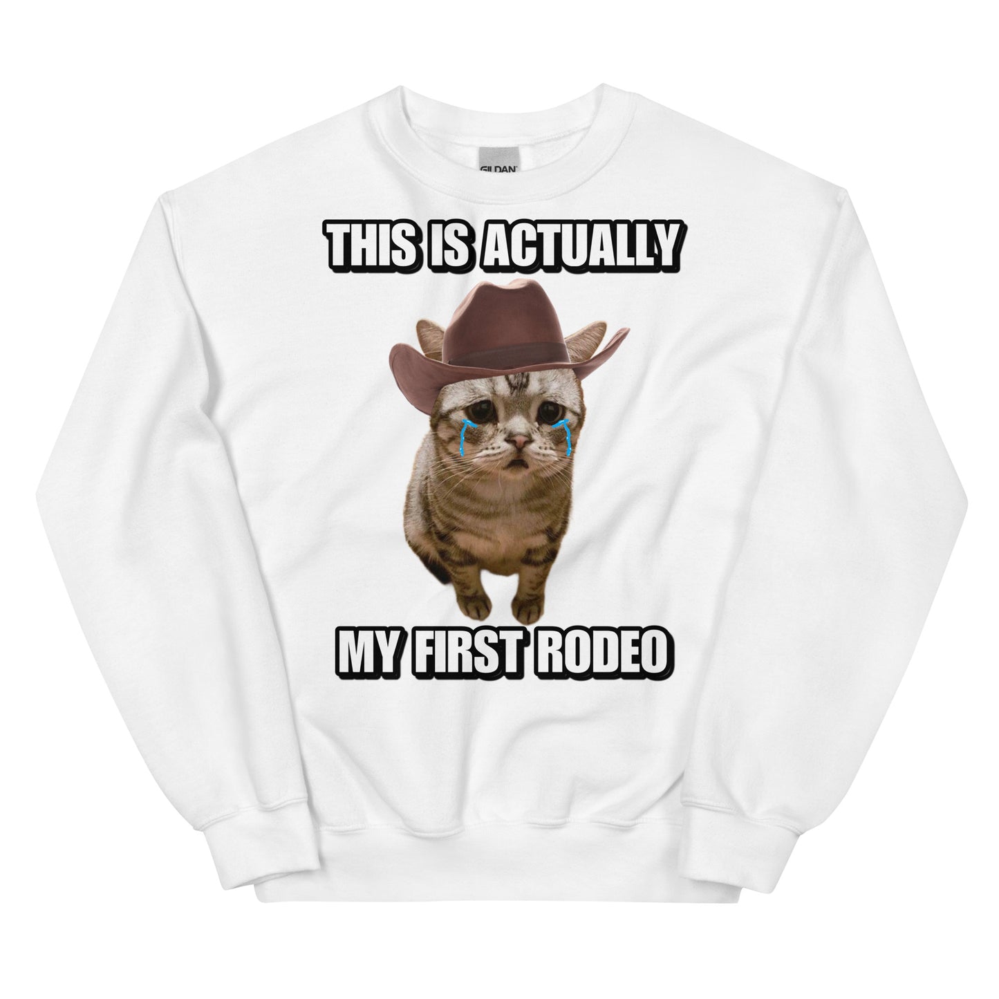 Actually this is my First Rodeo Sweatshirt