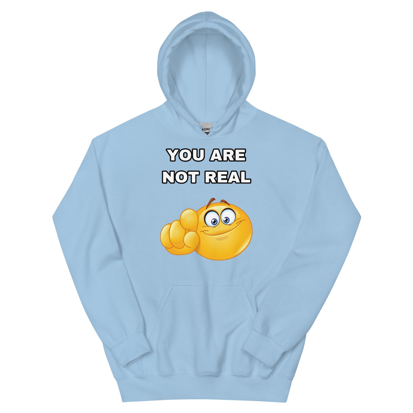 YOU ARE NOT REAL Hoodie