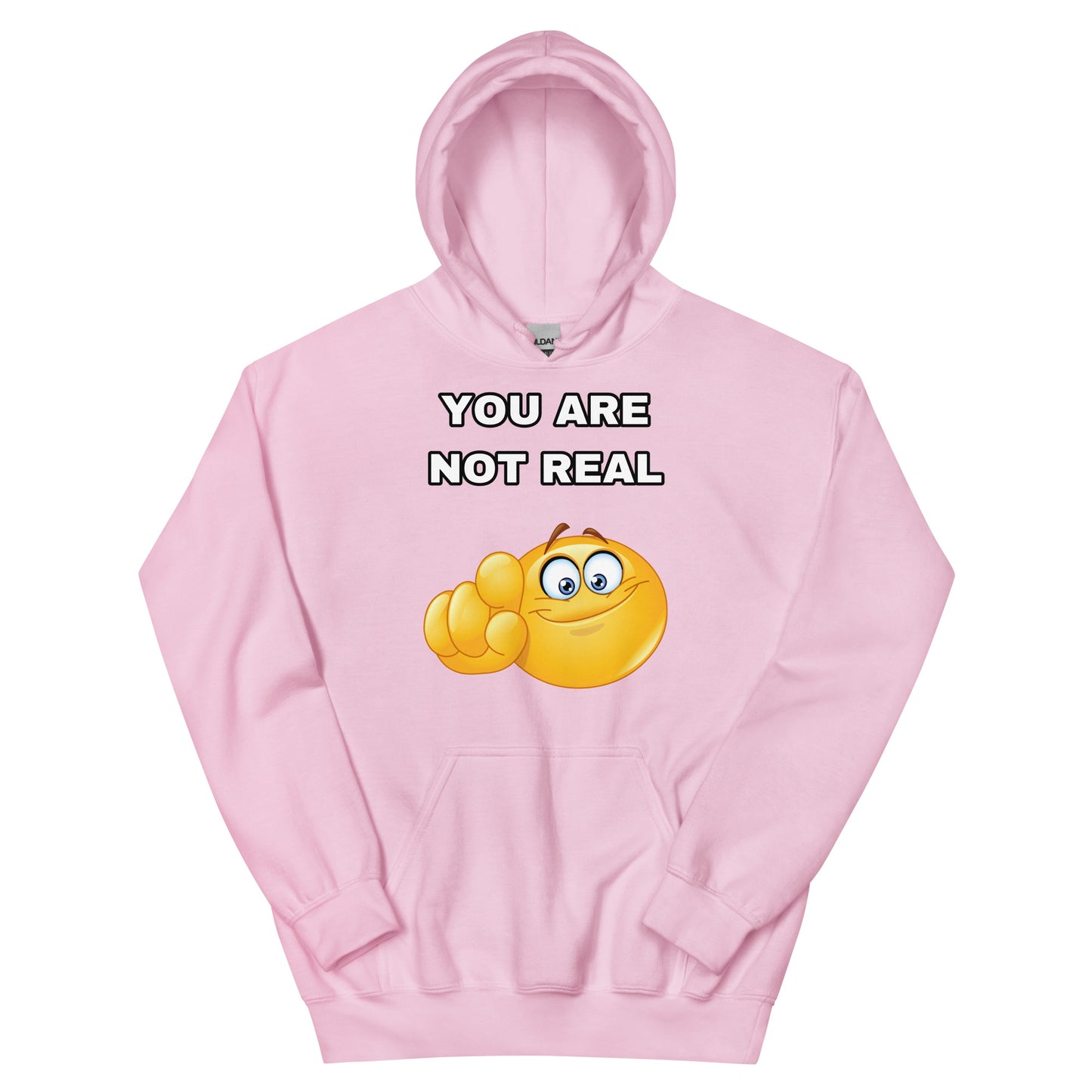YOU ARE NOT REAL Hoodie