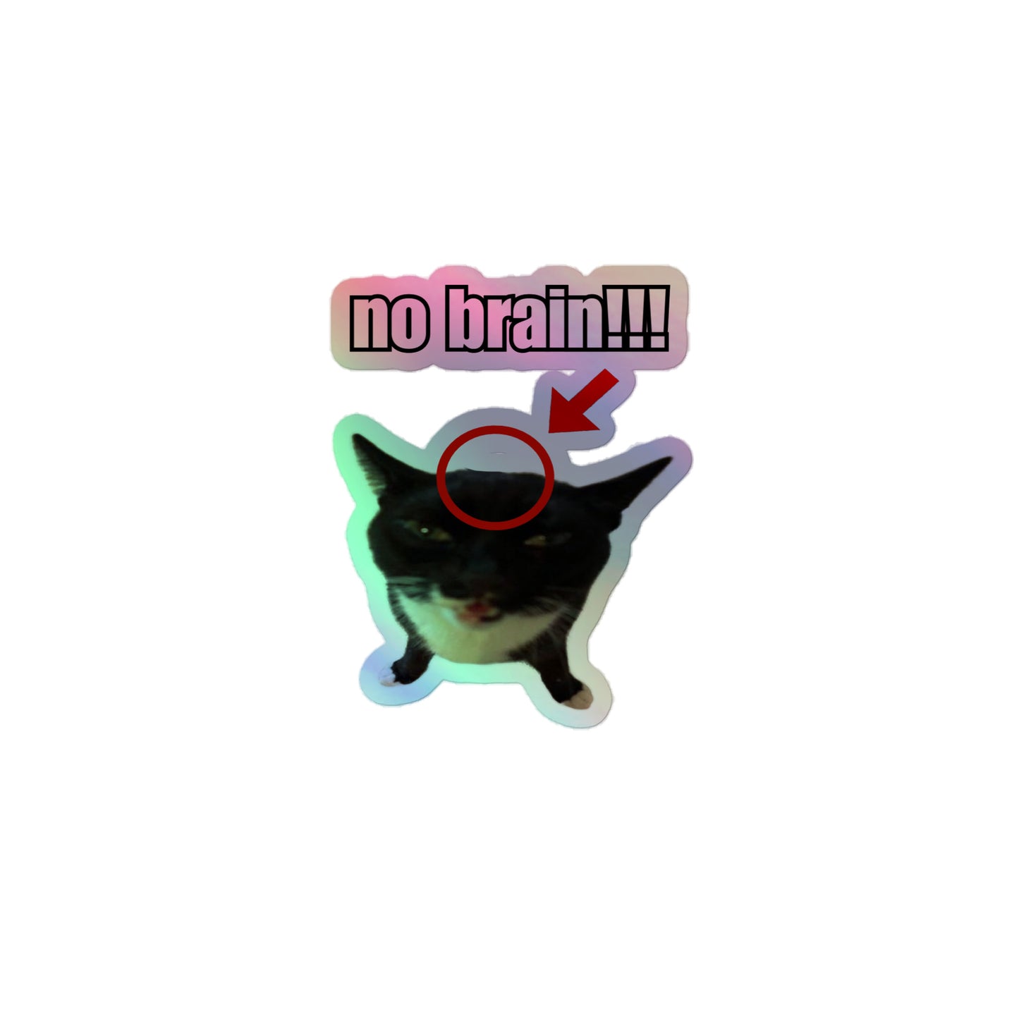 No Brain!!! Holographic Sticker