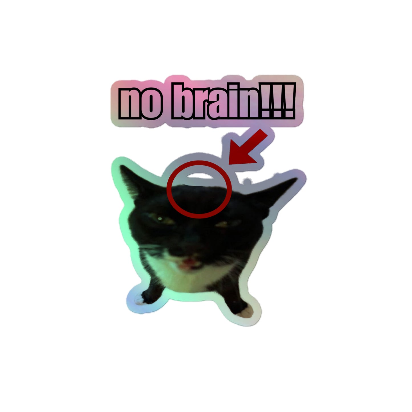 No Brain!!! Holographic Sticker