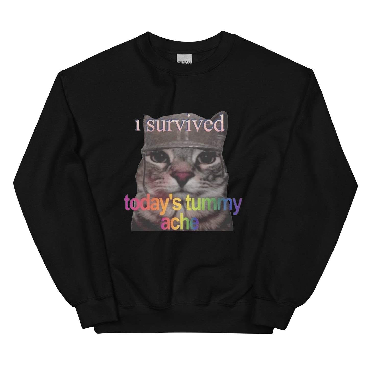 I survived todays tummy ache Sweatshirt