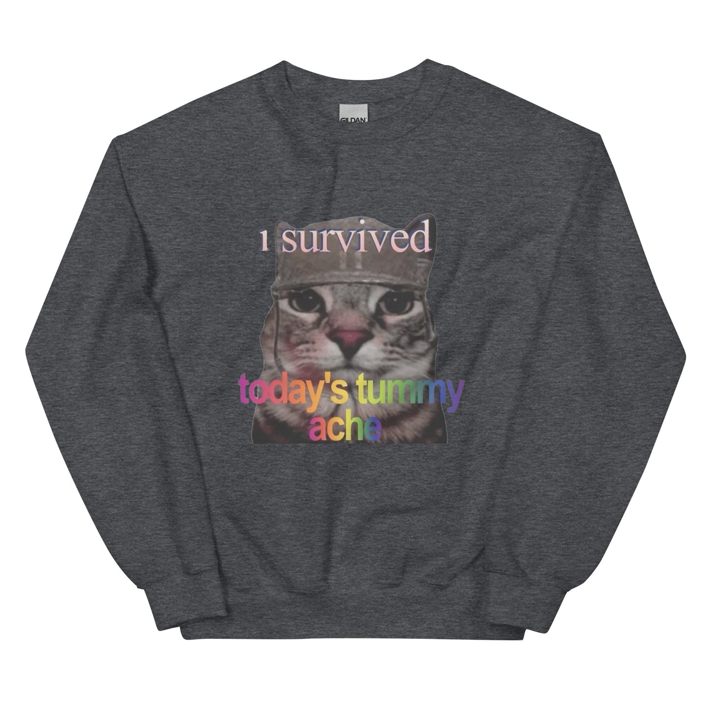 I survived todays tummy ache Sweatshirt