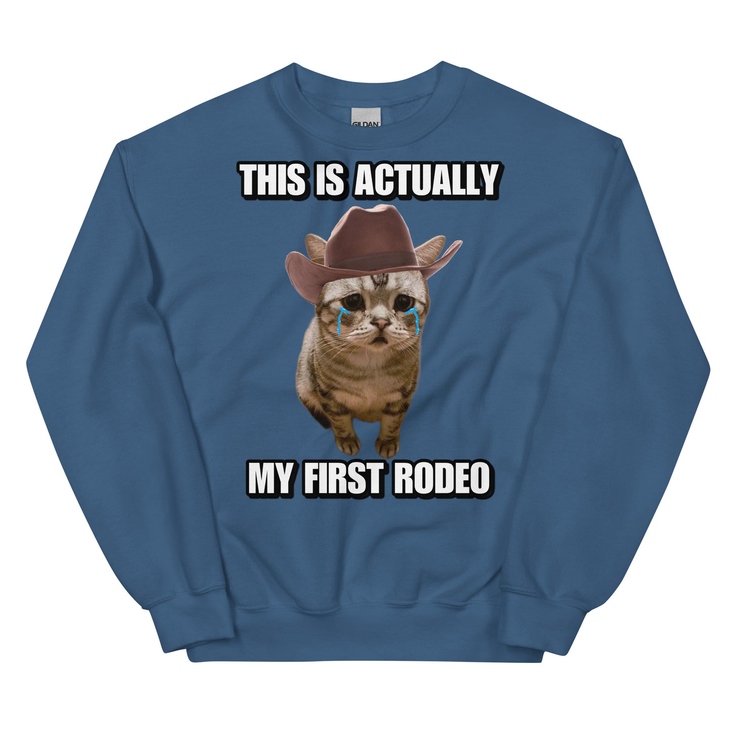 Actually this is my First Rodeo Sweatshirt