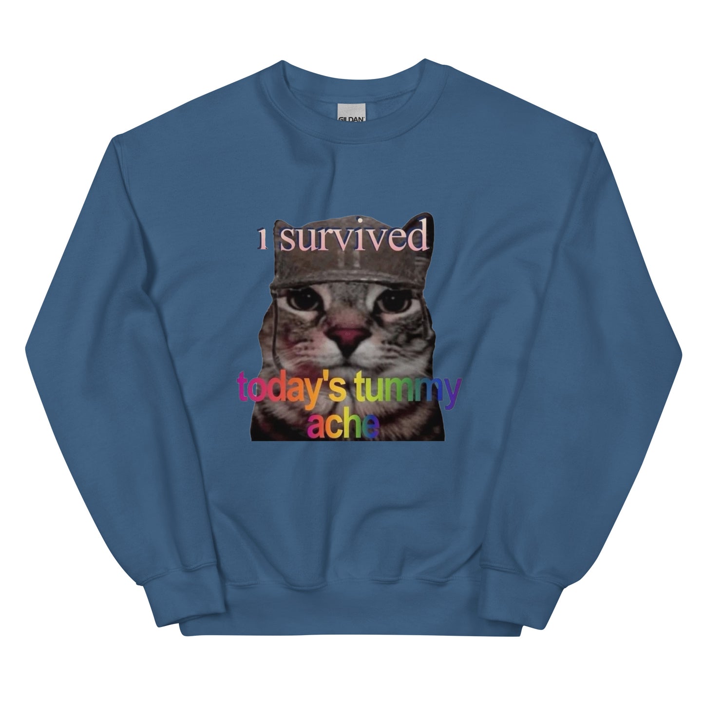 I survived todays tummy ache Sweatshirt