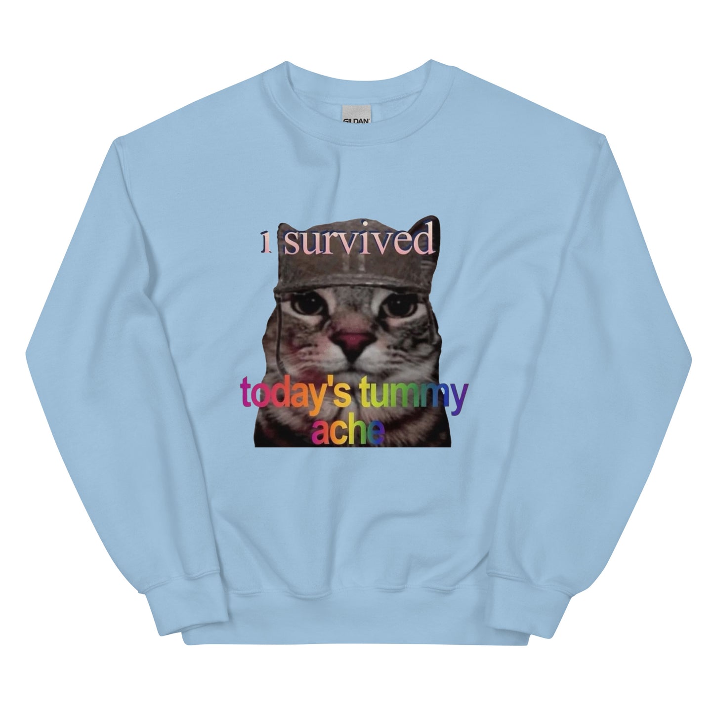 I survived todays tummy ache Sweatshirt