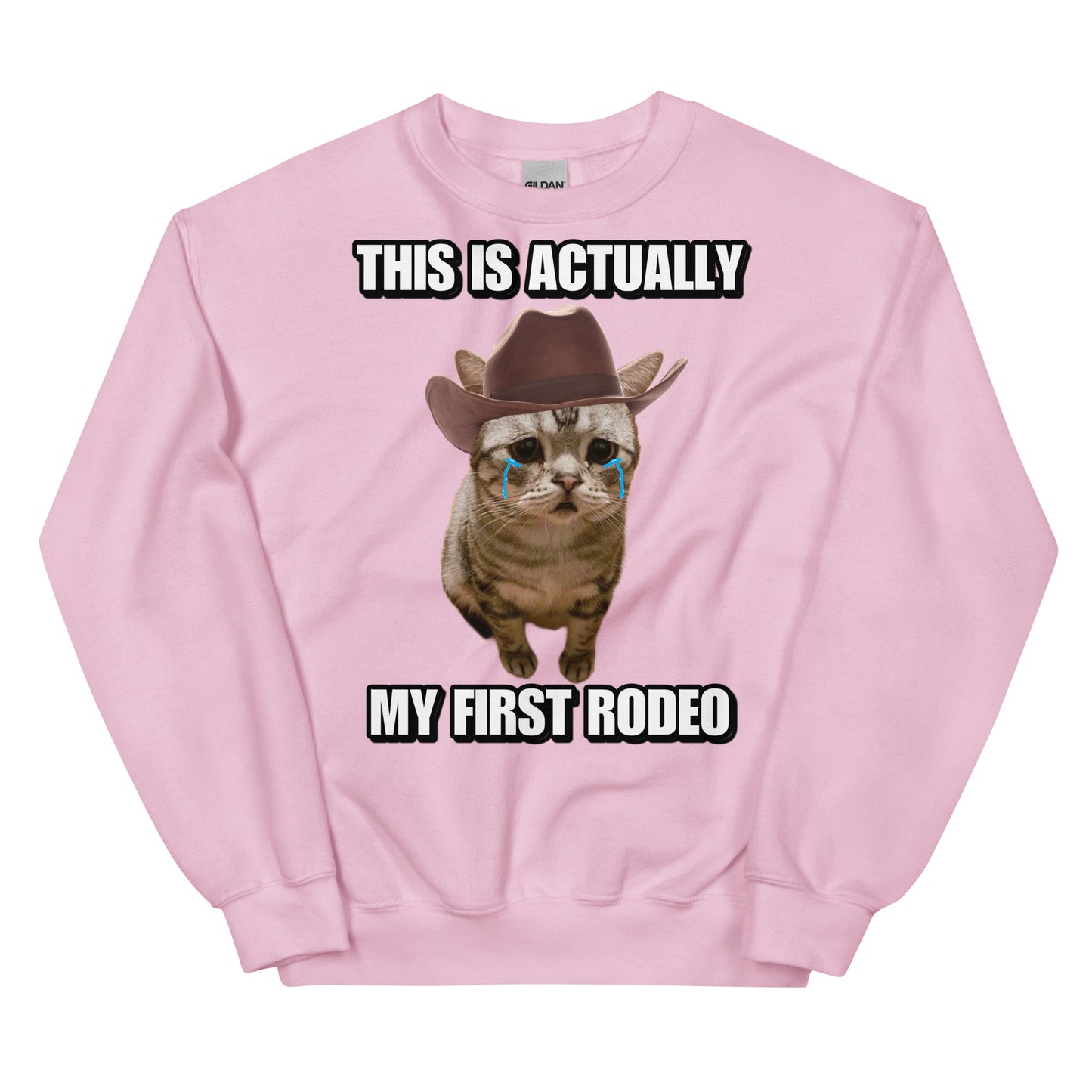 Actually this is my First Rodeo Sweatshirt