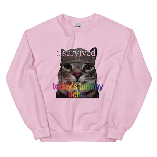 I survived todays tummy ache Sweatshirt