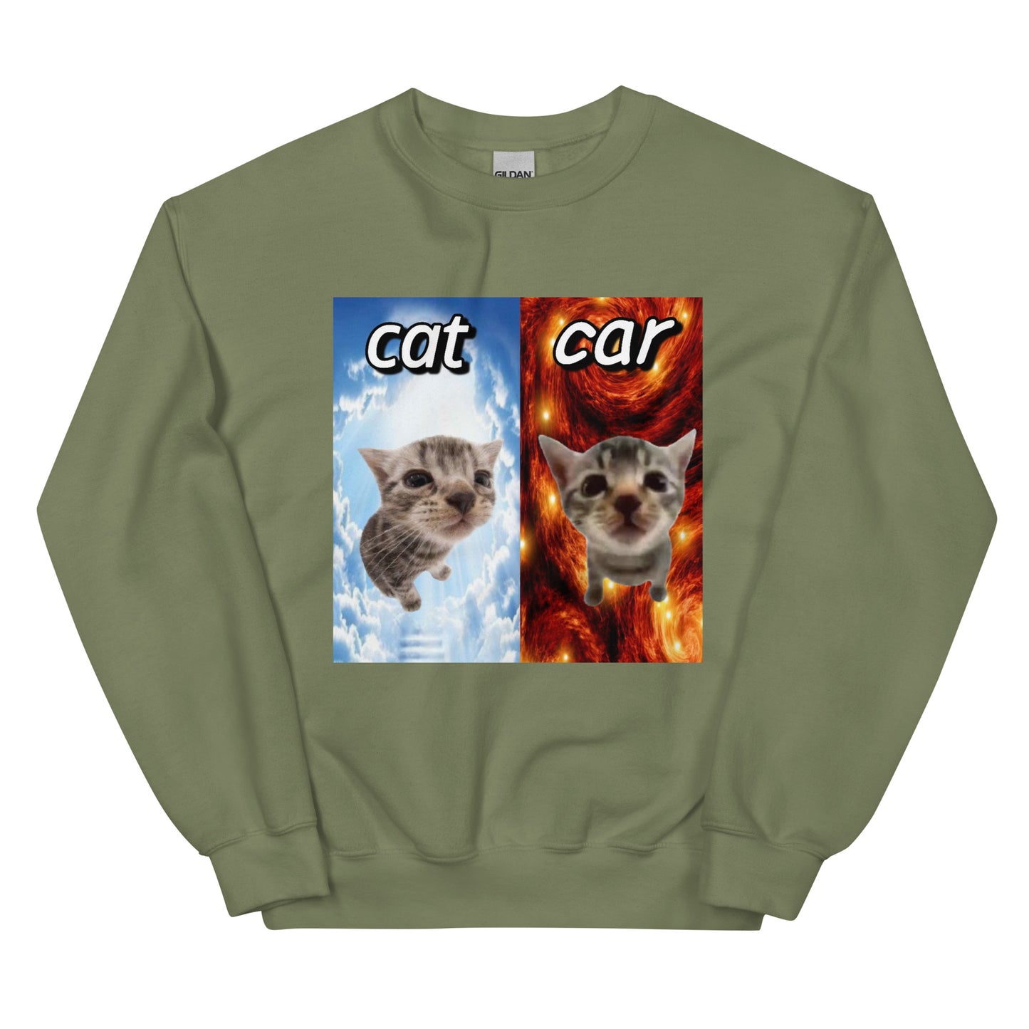 Cat vs Car Cringey Sweatshirt