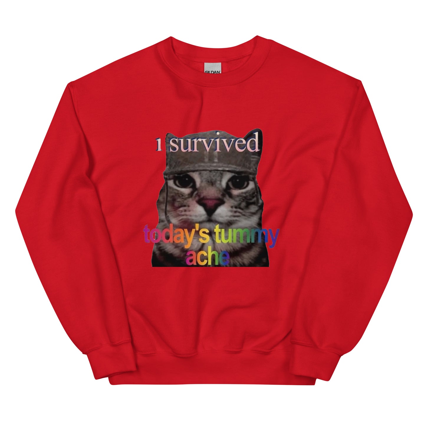 I survived todays tummy ache Sweatshirt