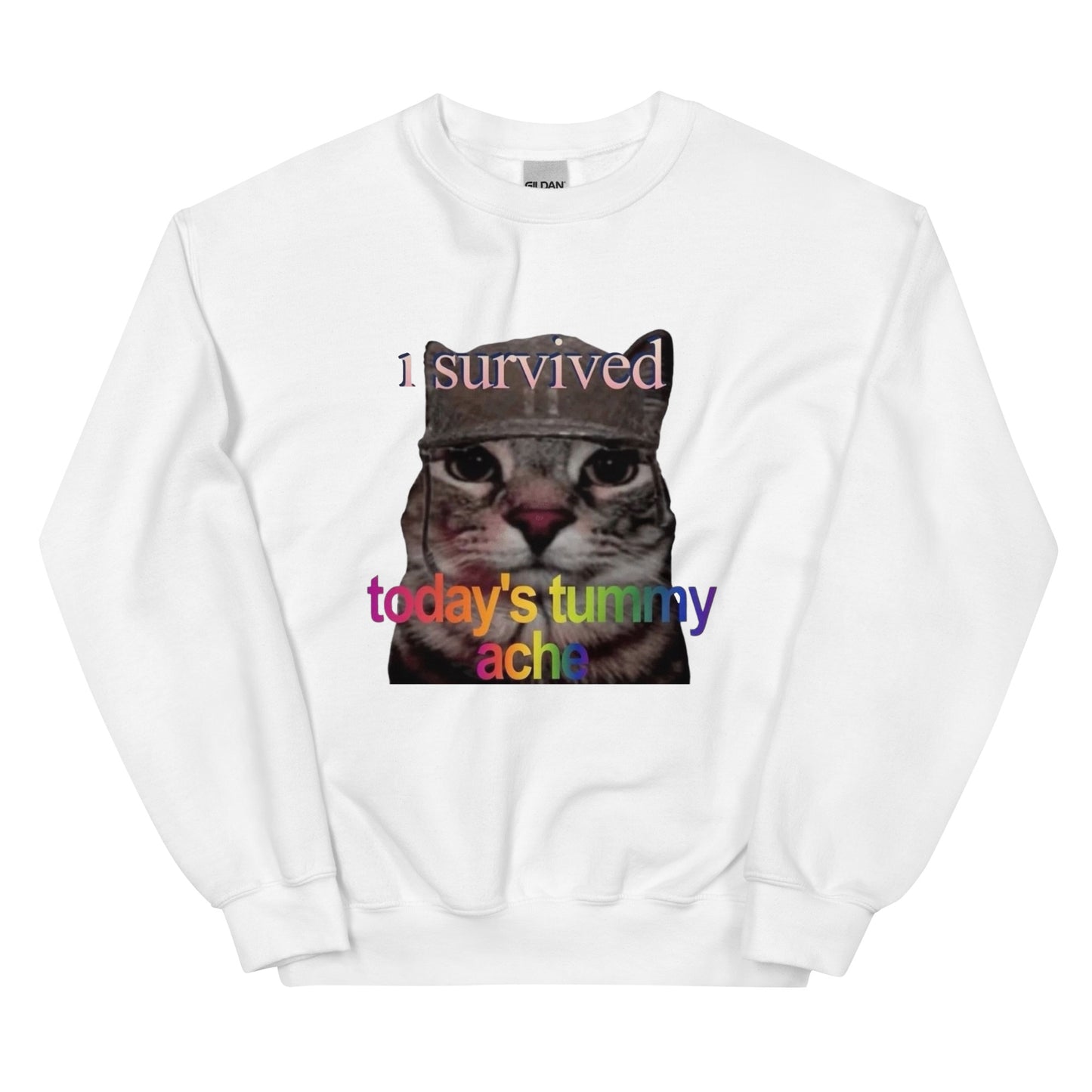 I survived todays tummy ache Sweatshirt