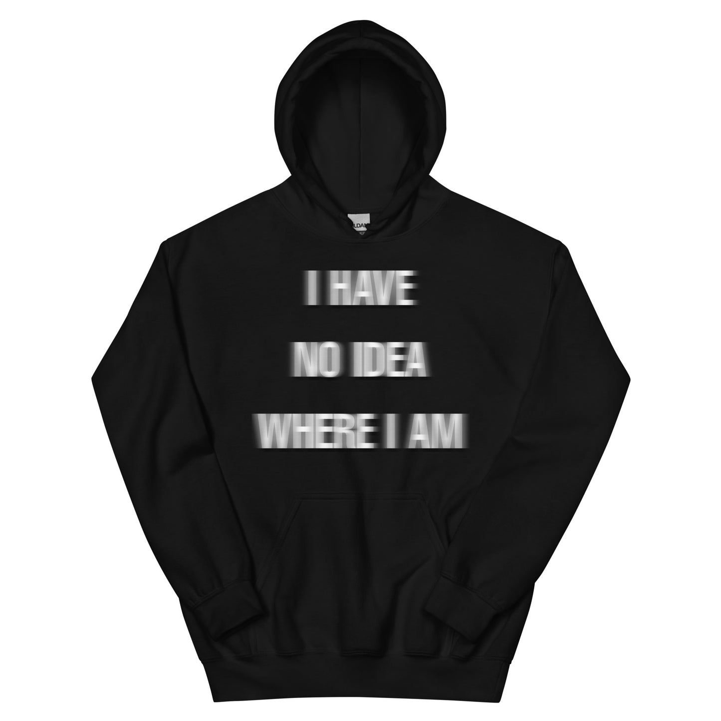 I have no idea where I am Hoodie